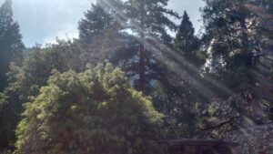 IMG_20160602_160543101_HDR