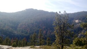 IMG_20160602_174039901